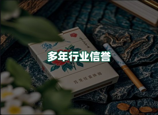 核心优势